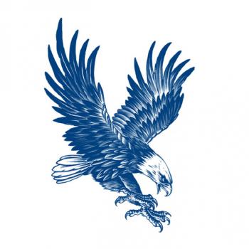 Bald eagle Tattoo Sticker