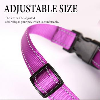 Reflective Safety Design Adjustable Outdoor Pet Dog Harness